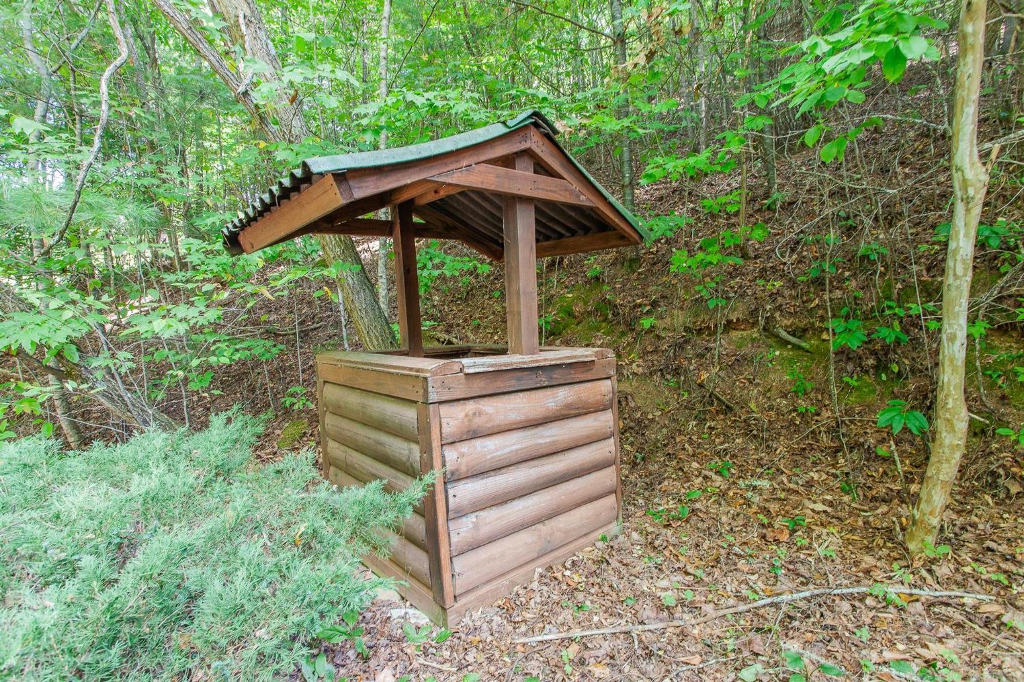 Villa Firefly Way Bryson City Exterior foto